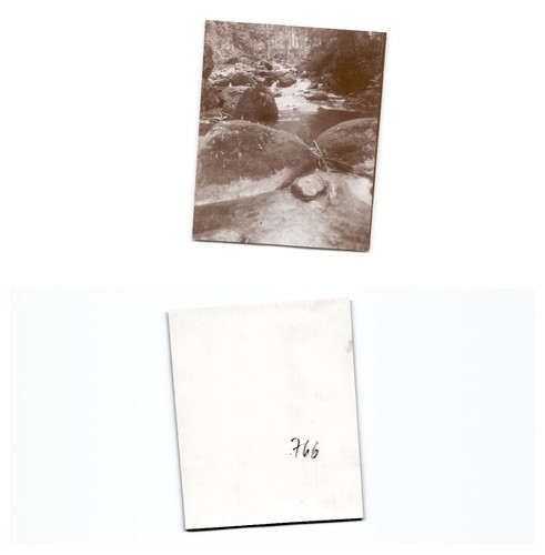 Brotbaude - (b77668a766),