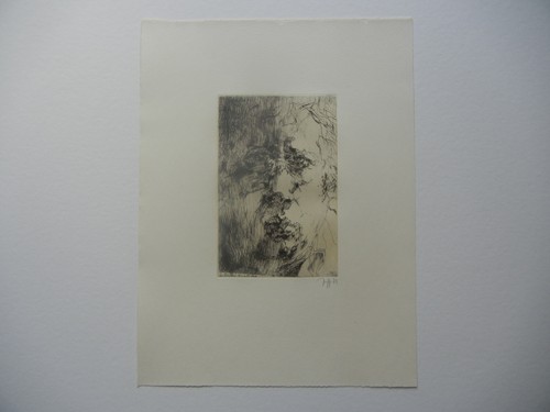 Horst janssen radierung - horst,
