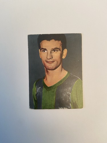 Heinerle sandor kocsis - heinerle,