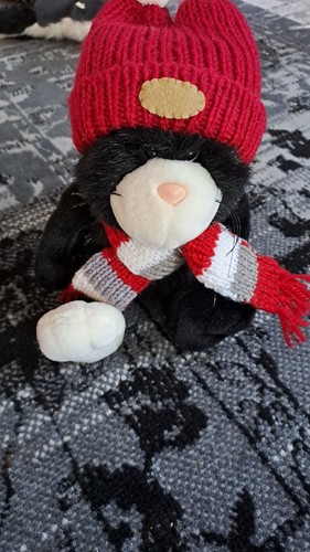 Nici katze mit mütze schal - katze,