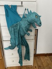 Fasching Karneval Kostüm