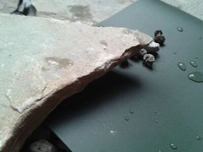 SIKA Premium PVC Teichfolie