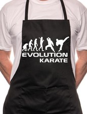 Evolution Of Karate Kampfsport