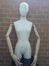 Genesis Display Damen