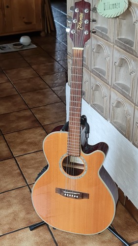 Takamine 540sc - takamine,