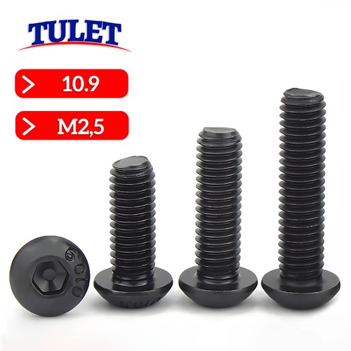 Iso 7380 10 9 - m2,5, 10.9