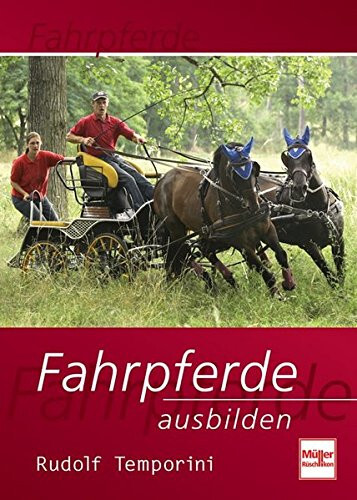Fahrpferde ausbilden fahrsport - fahrpferde,