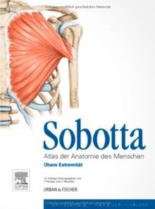 Sobotta atlas der anatomie - der,