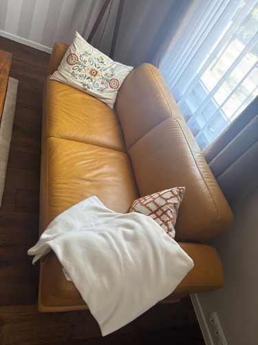 Braunes ledersofa von - von, schillig