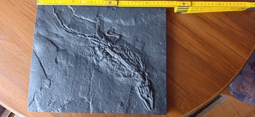 Eisenguss guss bild - v., fossil