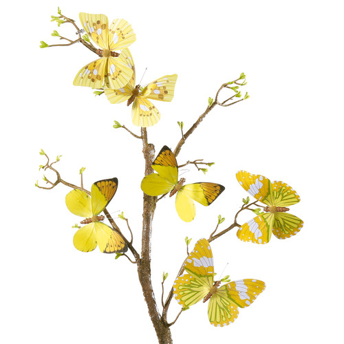 Deko schmetterling set - deko, 6