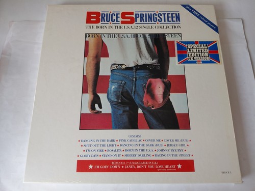 Bruce springsteen the born - springsteen,
