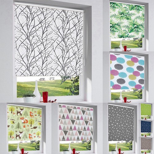 Rollo muster bunt druck - rollo,