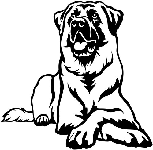 Kangal aufkleber - kangal,