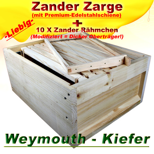 Zander 10er ganzzarge - +, 10x