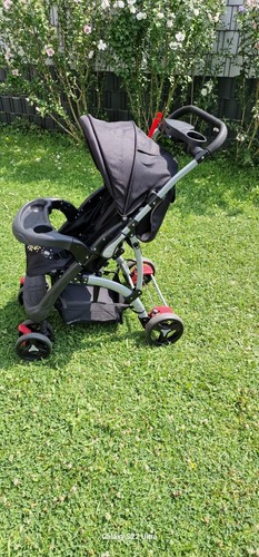Buggy
