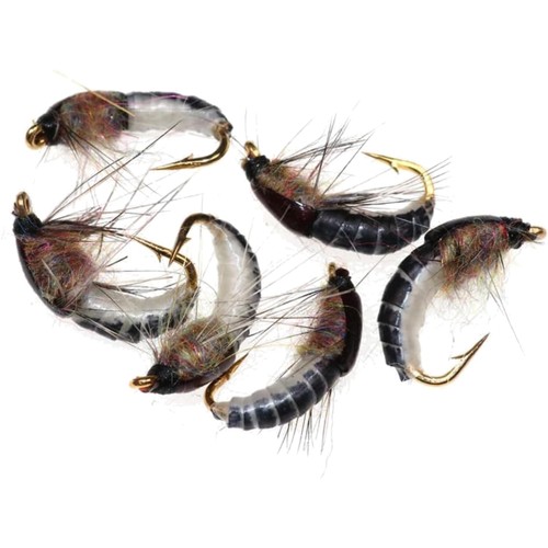 Nymphe fliege forellenangeln - nymphe,