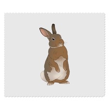 2 Linsenputztücher "Standing