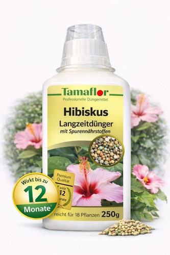 Dünger hibiskus pflanzen - dünger-hibiskus,