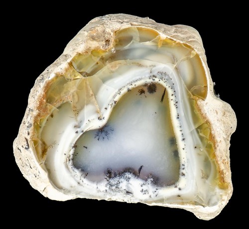 Achat dendritenopal - dendritenopal,