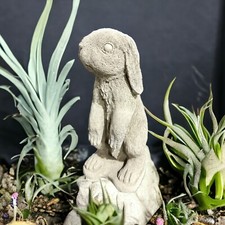 Kleiner Stehender Hase Hazel