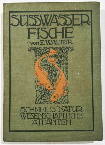 Fische süßwasserfische - fische,