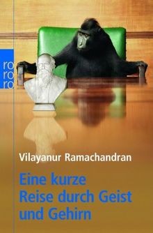 Eine kurze reise - eine,