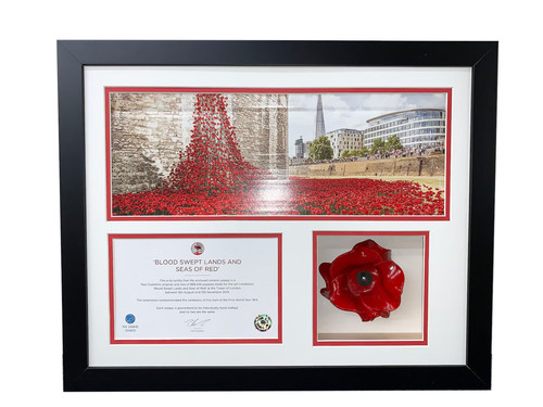 Tower london poppy frame 3d - of,