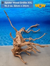 👋XXL Moorkien - Spiderwood