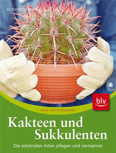Kakteen und sukkulenten - kakteen,