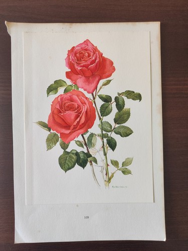 Vintage orig farbdruck - farbdruck,