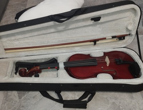 Violine🎻