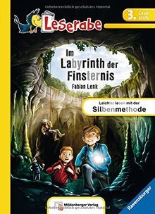 Labyrinth der finsternis - labyrinth,