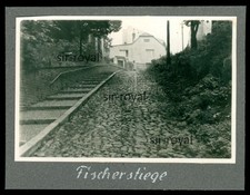 Leitmeritz 1958 - ,