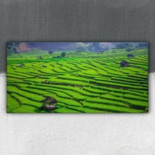 Grünes terrassiertes Reisfeld 100x50 Leinwandbilder Wandbilder XXL Canvas