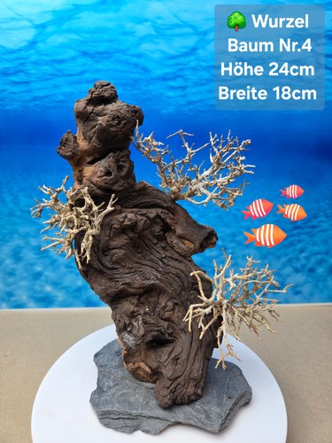 Top aquarium mopani - 🌳,