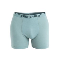 ICEBREAKER - Mens Anatomica
