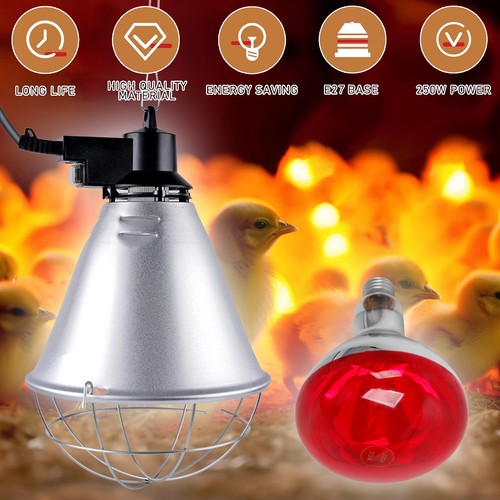 250w rotlichtlampe e27 - rotlichtlampe,