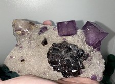 Mineraliensammlung Fluorit ×