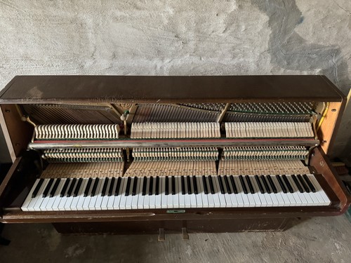 Klavier gebraucht euterpe - klavier,
