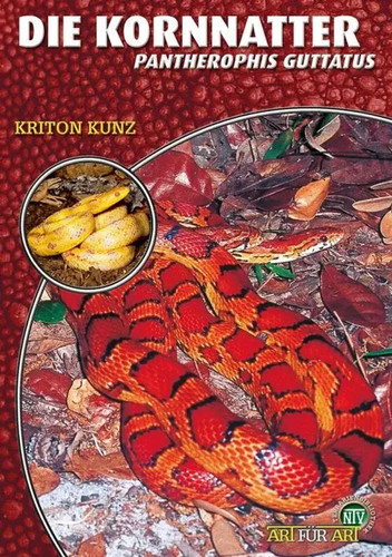 Die kornnatter pantherophis - die, |