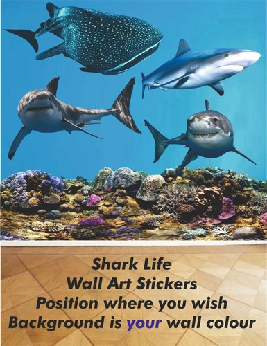 Shark life wandbilder - shark,