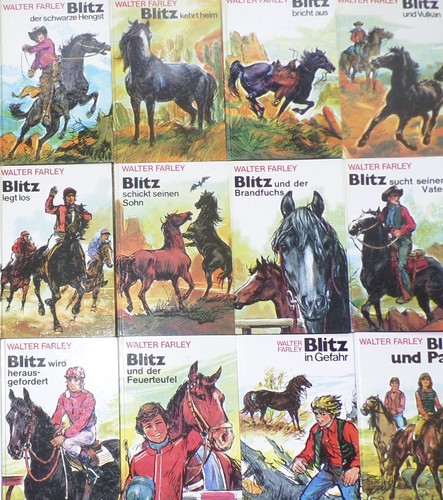 Blitz der schwarze hengst - hengst, /