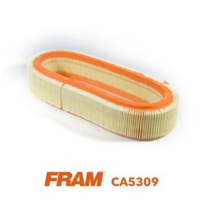 Fram Luftfilter 77001029809