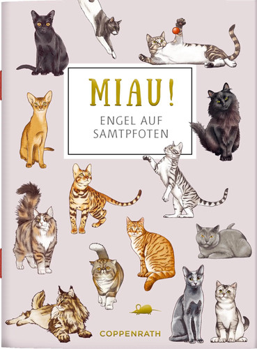 Miau engel auf samtpfoten - miau!,
