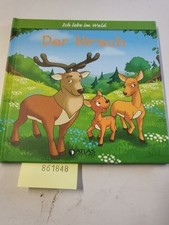 DER HIRSCH - ICH LEBE IM WALD