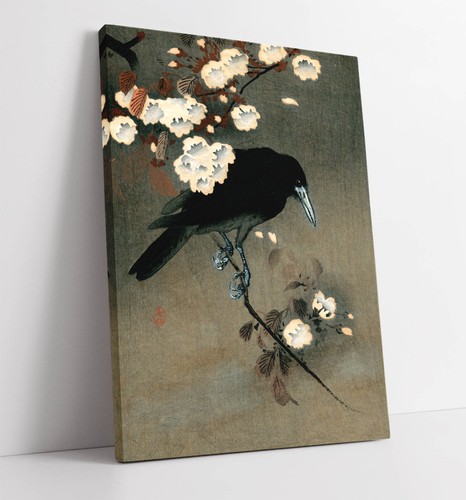 Ohara koson krähe - "krÄhe, und