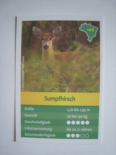 Entdecke brasilien - entdecke,