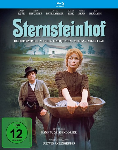 Der sternsteinhof - (1976),