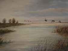 Landschaft am Dümmer See mit